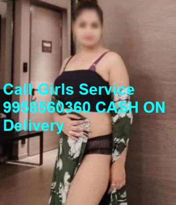 99585 ❤️ 60630 Call Girls in Delhi 24×7