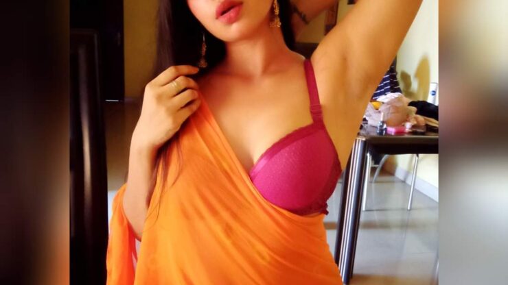 Escort Service The Suryaa Hotel Delhi Call Girls