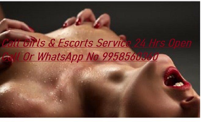 Ghaziabad Call Girls & Escorts in Mohan Nagar