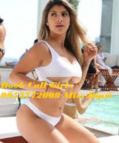 Call Girls in Noida Sector 62. Escorts Service