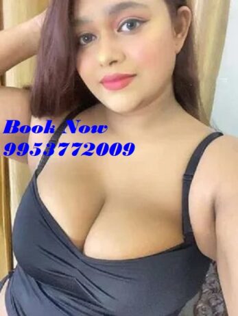 Air Hostess Call Girls in Mohan Nagar Ghaziabad