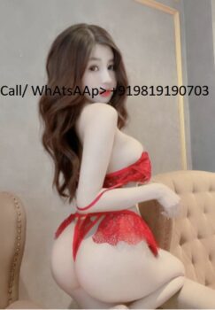17036107236080
