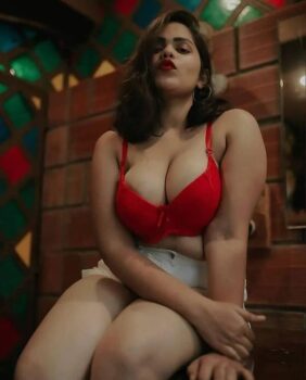 Bollywood-Celebrity-South-Actress-Models-Escorts-15-1
