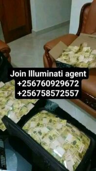 1000133646