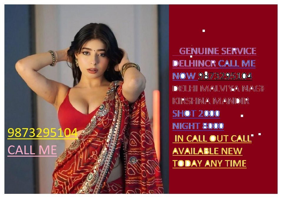 No1- Call Girls In South Patel Nagar 9873295104 Delhi-NCR